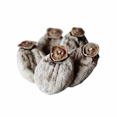 Semi-Dried Persimmon Fruit with No Sugar Added